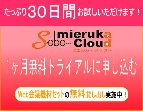 たっぷり30日間お試しいただけます!1ヵ月無量トライアルに申し込む
